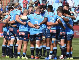 Los Bulls miran al Toulouse en busca de inspiración francesa